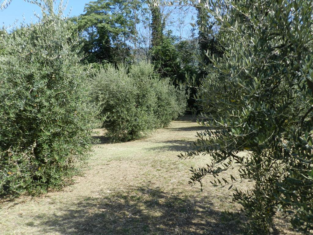 B&B Villa Maria Τέρνι Δωμάτιο φωτογραφία